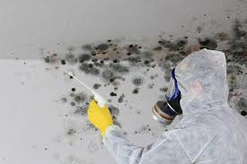 Reliable Rocklin, CA Mold Removal Services Solutions